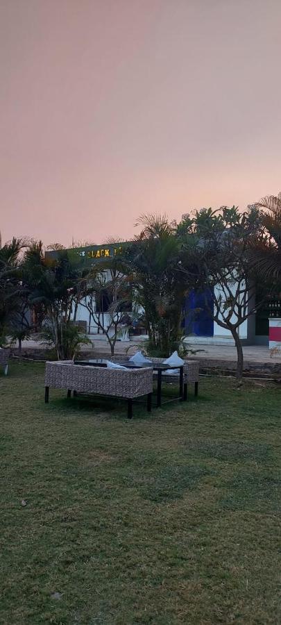 The Black Leaf Hotel Raipur  Exterior photo